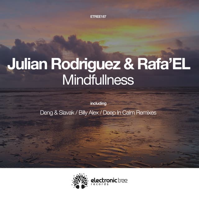 Mindfullness - Deep in Calm Remix cover art