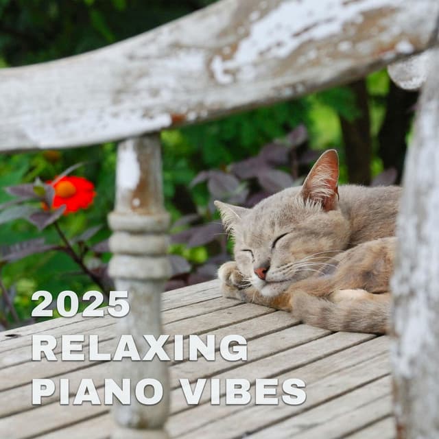 2025 Relaxing Piano Vibes cover art