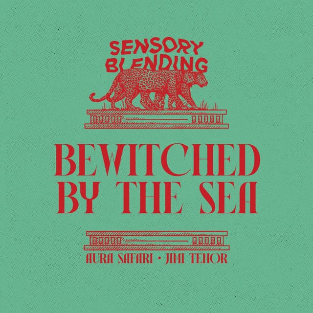 Bewitched By The Sea - Willie Graff Remix cover art