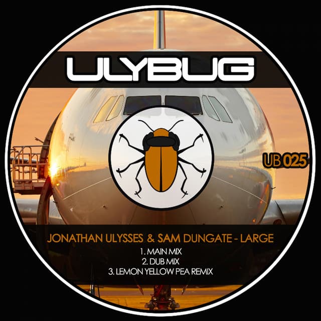 Large cover art