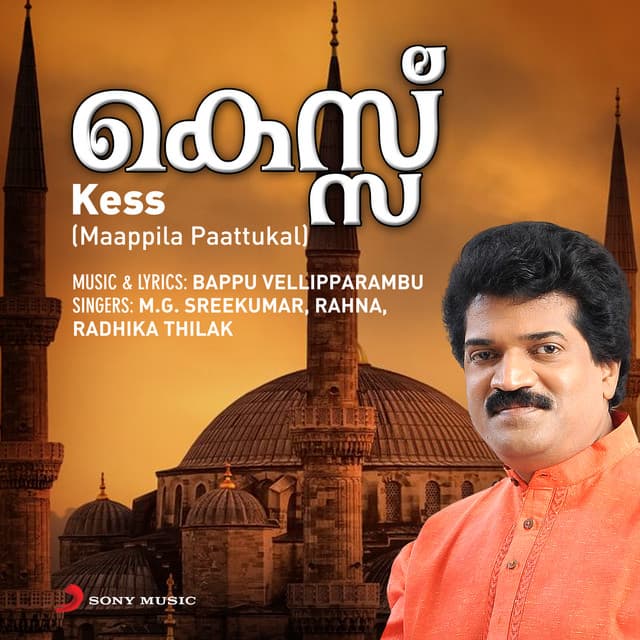 Vellaripraave cover art