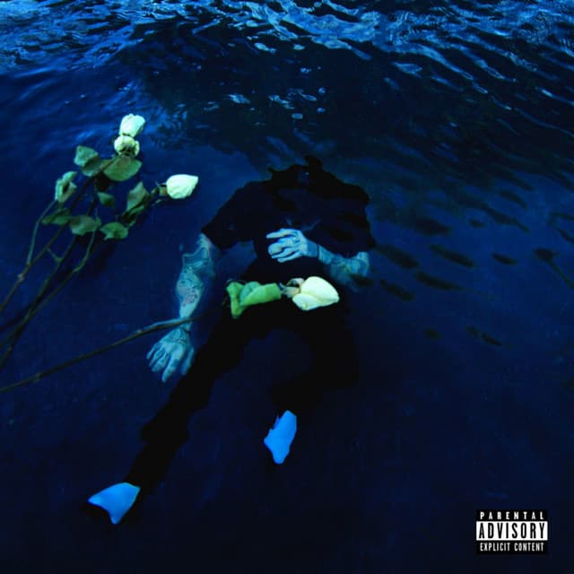 dead cover art
