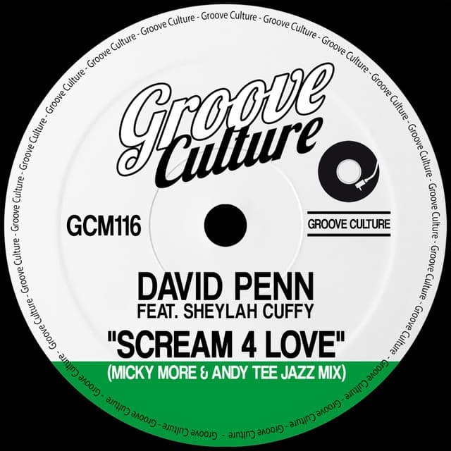 Scream 4 Love - Micky More & Andy Tee Jazz Mix cover art