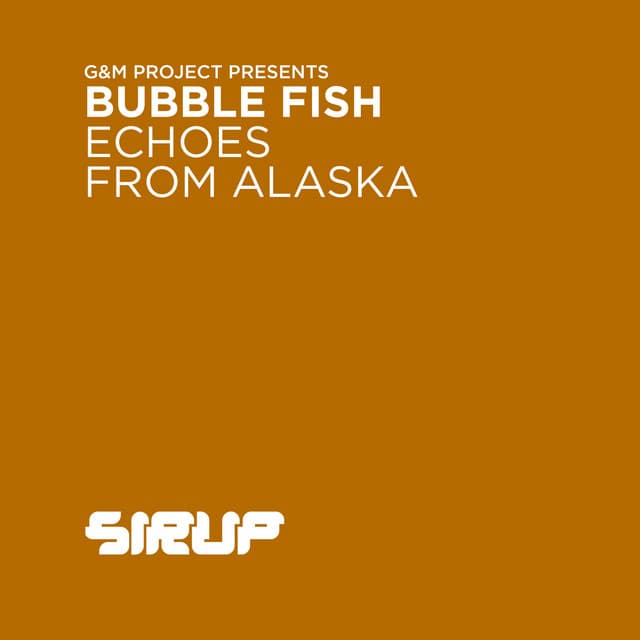Echoes from Alaska - Dave202 Remix cover art