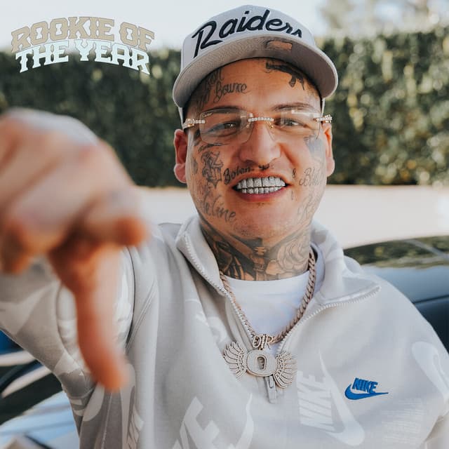 Rookie Of The Year cover art