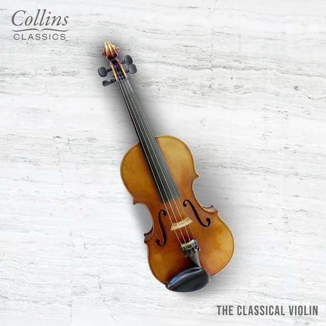 Violin Sonata: II. Ballada cover art