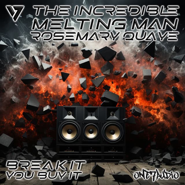 Break It You Buy It - Original Mix cover art