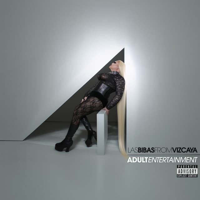 ADULT ENTERTAINMENT cover art