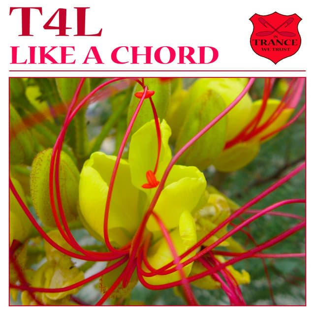 Like a Chord - Progressiver Remix cover art