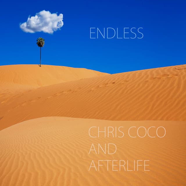Endless cover art