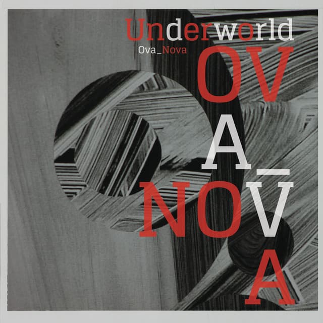 Ova Nova - Pig&Dan Remix cover art