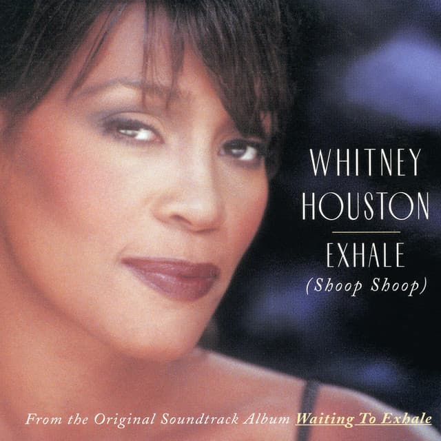 It Isn't, It Wasn't, It Ain't Never Gonna Be (with Whitney Houston) - Album Edit cover art