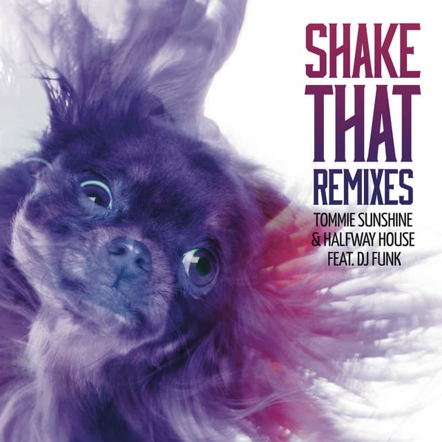 Shake That (feat. DJ Funk) - ATICA Remix cover art