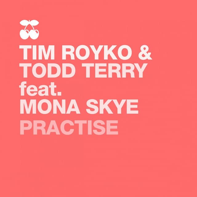 Practise - Tee's Mix cover art
