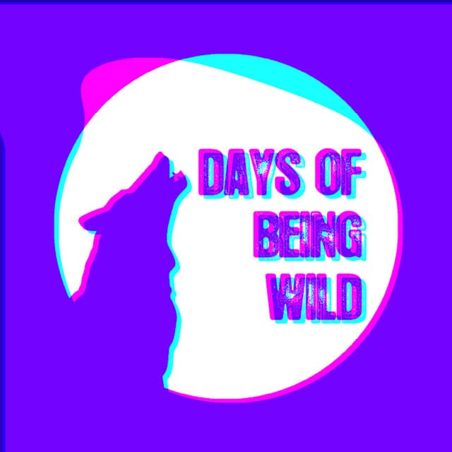 Neu cover art