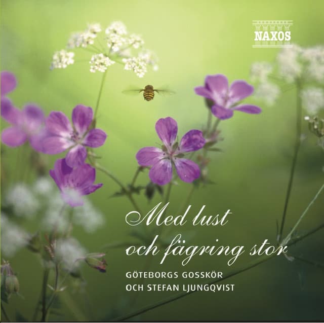 Stefan Ljungqvist