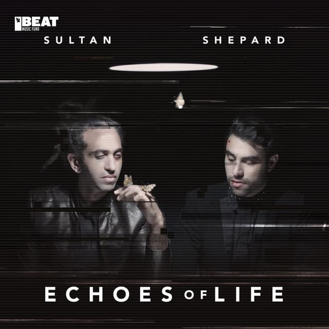 Echoes Of Life: Day cover art