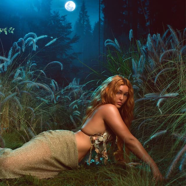 PHOENIX cover art