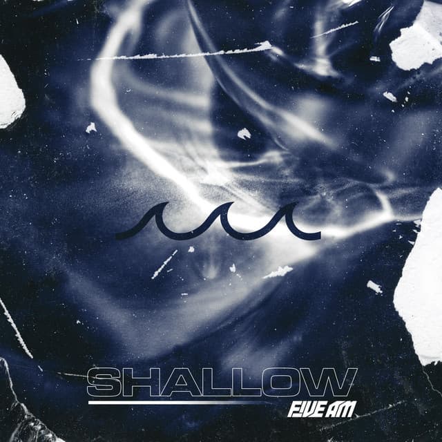 Shallow cover art
