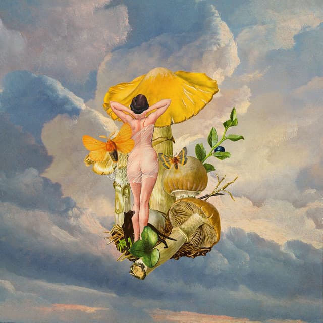 Planet Shrooms (Acoustic) cover art