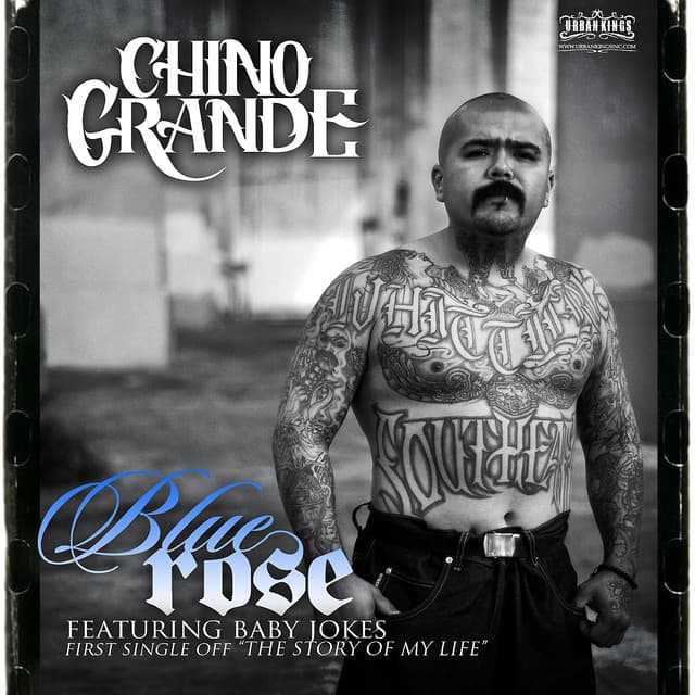Blue Rose cover art