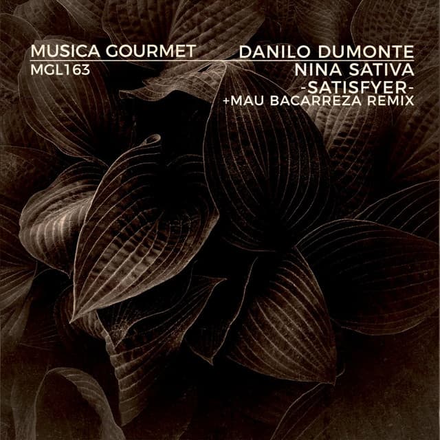 Danilo Dumonte