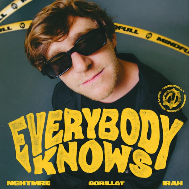 Everybody Knows - feat. IRAH cover art