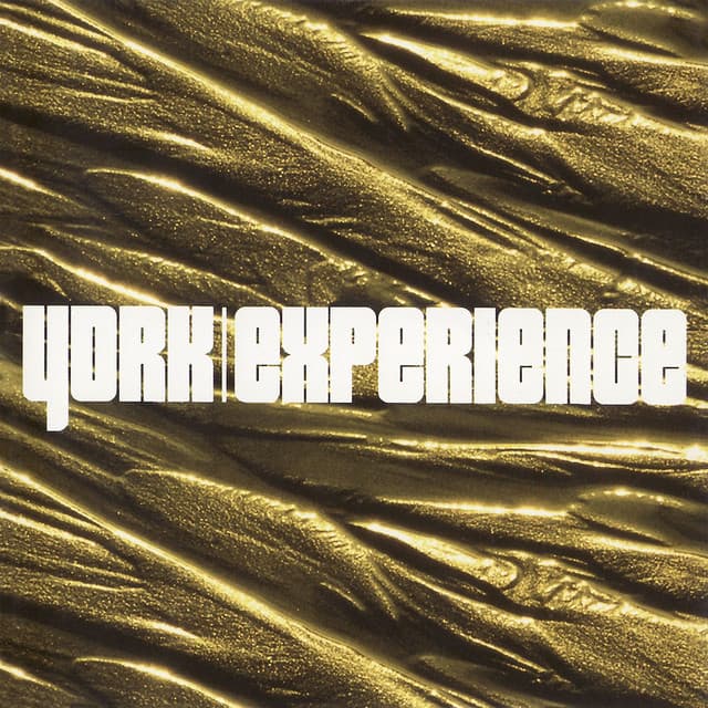 Experience cover art