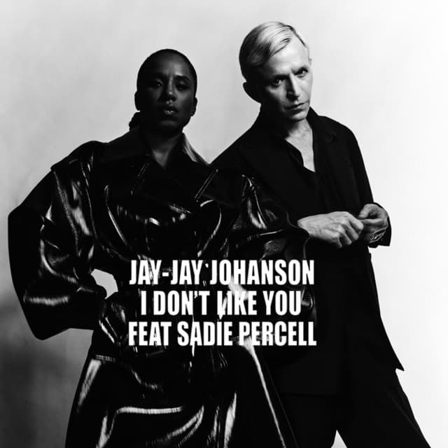 I Don't Like You (Erik Jansson Remix) cover art