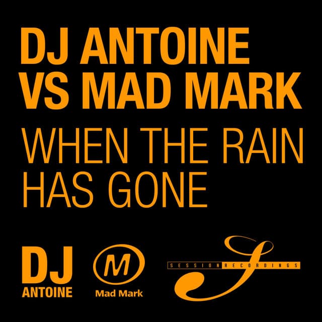 When the Rain Has Gone - Original Radio Edit cover art