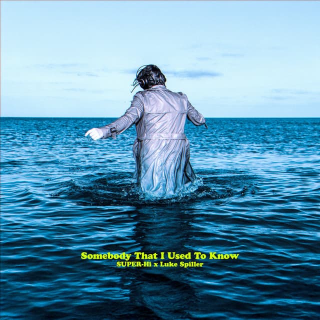 Somebody That I Used To Know - Radio Edit cover art