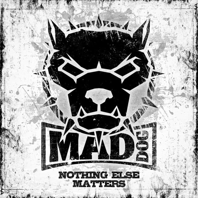 Nothing Else Matters cover art