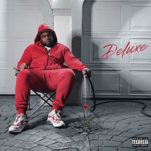 HALL OF FAME cover art