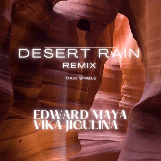 Desert Rain (Remix)[New Edit] cover art