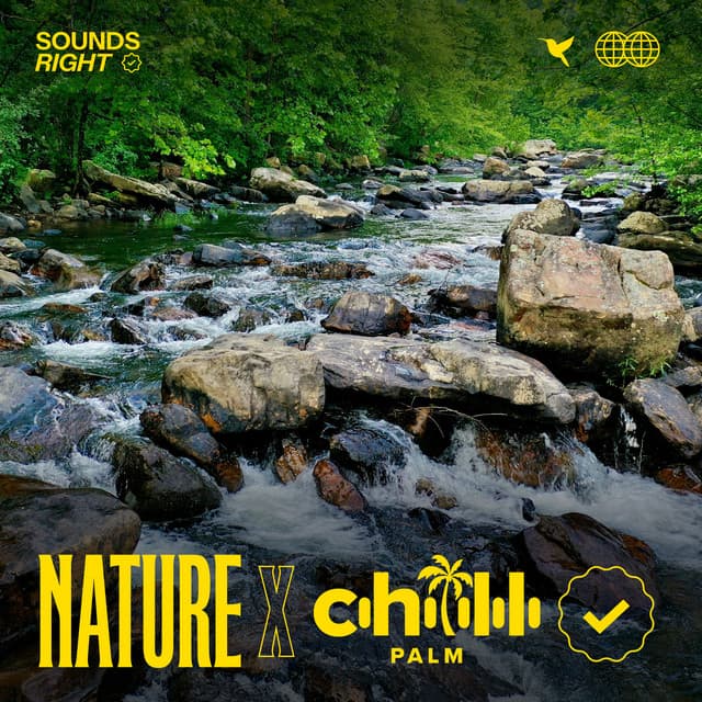 Andorran Forest River cover art