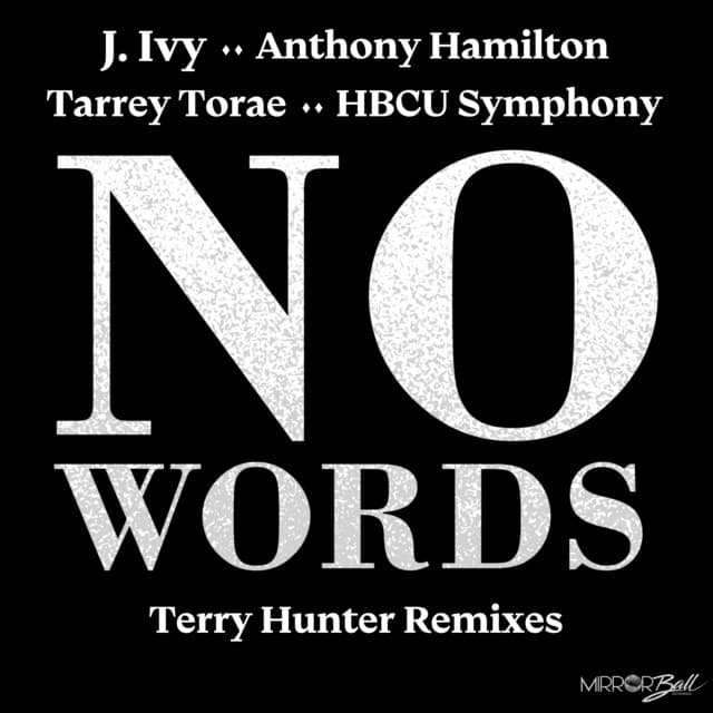 No Words - Terry Hunter Radio Edit cover art