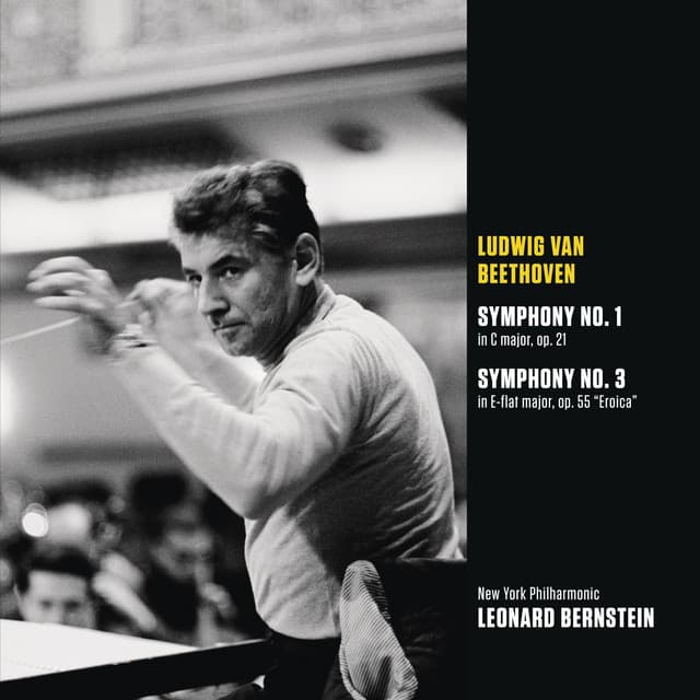Beethoven: Symphonies Nos. 1 & 3 "Eroica" cover art