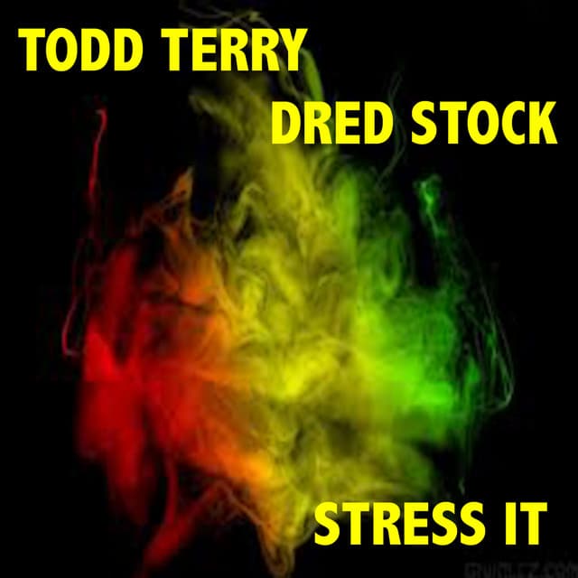 Stress It - Vocal Mix cover art
