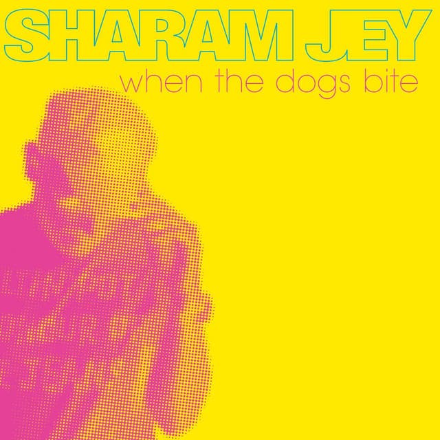 When The Dogs Bite - Loulou Players Remix cover art