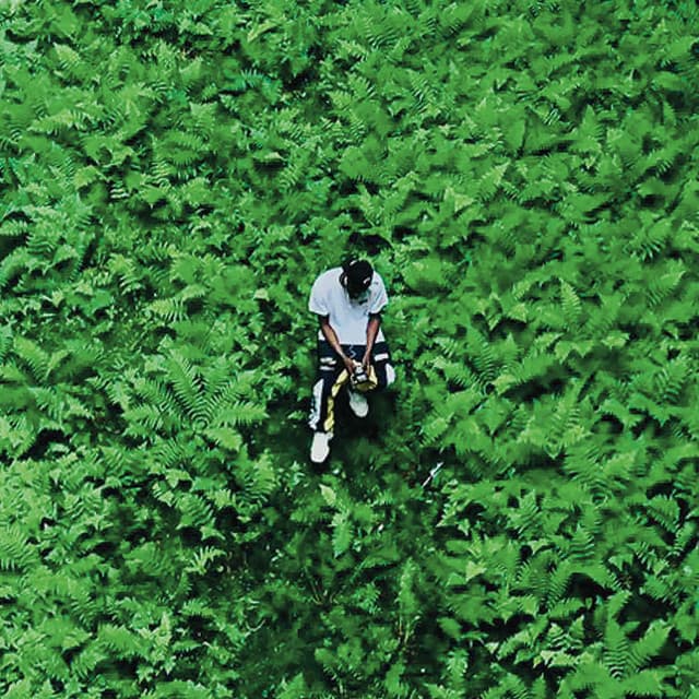 4AM in Amsterdam cover art