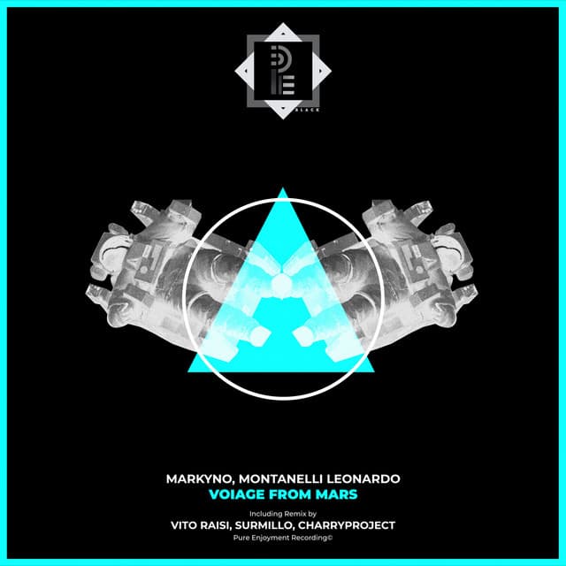 Voiage From Mars - Vito Raisi Remix cover art