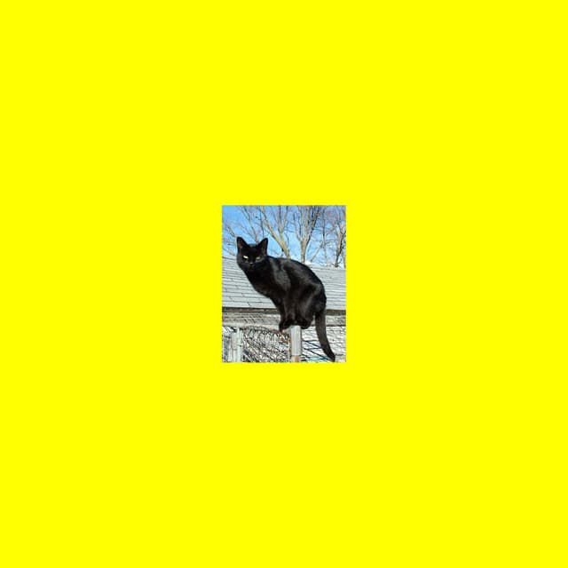 I Do the Case with a Chase cover art
