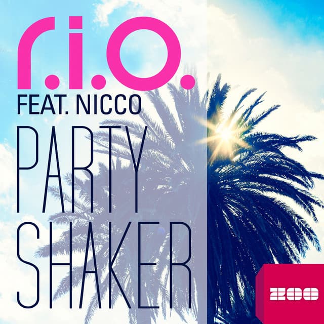 Party Shaker - Video Edit cover art