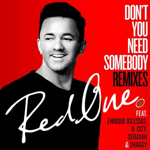 Don't You Need Somebody (feat. Enrique Iglesias, R. City, Serayah & Shaggy) - Josh Bernstein - Rannix Remix cover art