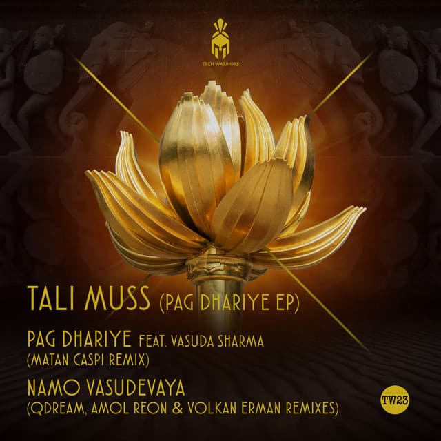 Om Namo Vasudevaya - Amol Reon & Volkan Erman Remix cover art