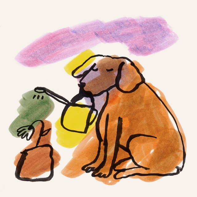 Man’s Best Friend cover art