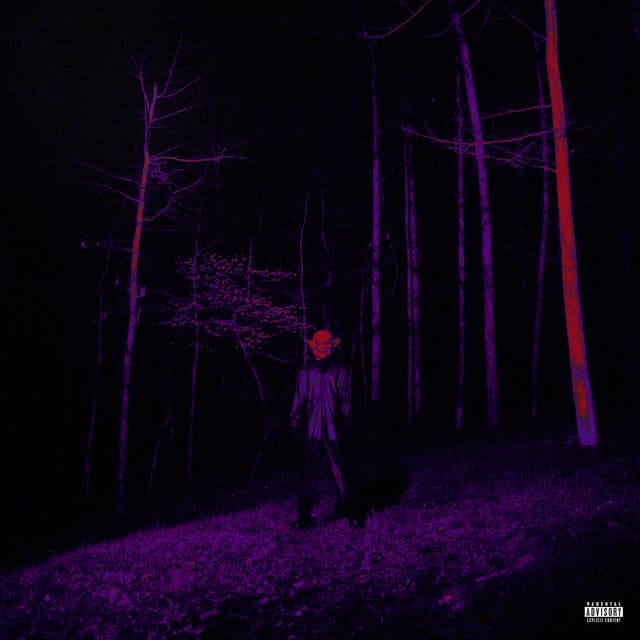 If Looks Could Kill (Directors Cut) cover art