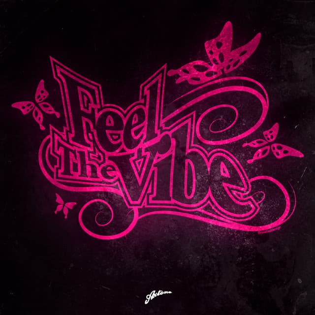 Feel The Vibe cover art