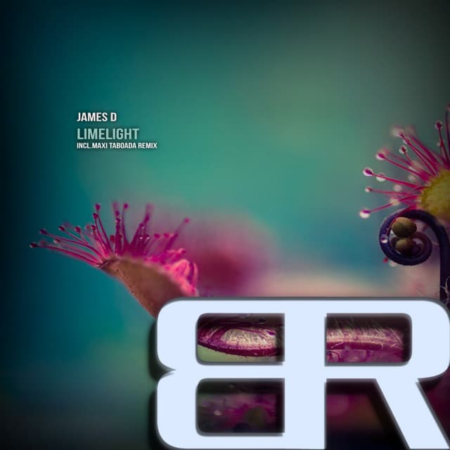 Limelight - Maxi Taboada Remix cover art