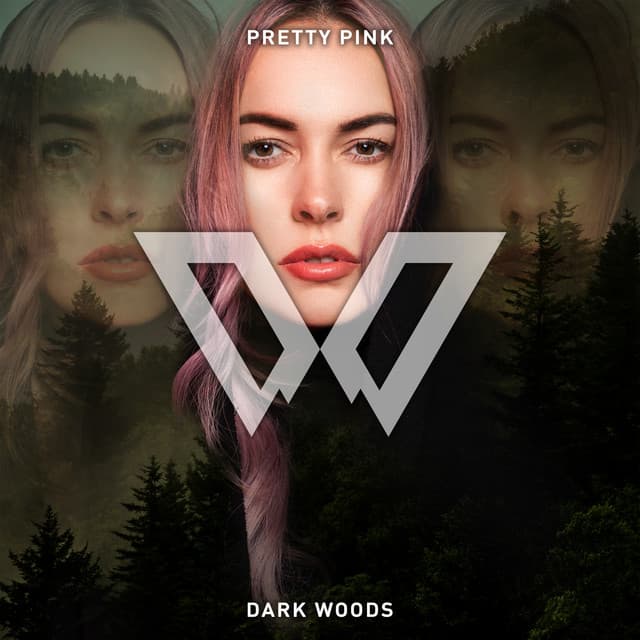 Dark Woods cover art